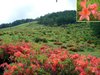 070701touring16